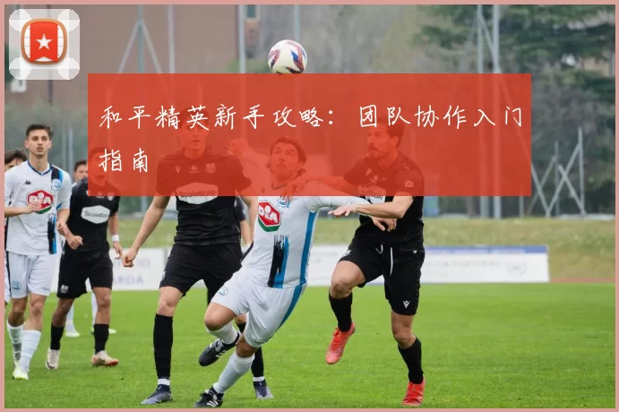 和平精英新手攻略：团队协作入门指南