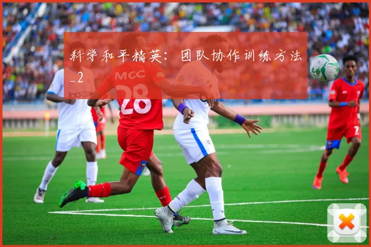 科学和平精英：团队协作训练方法_2
