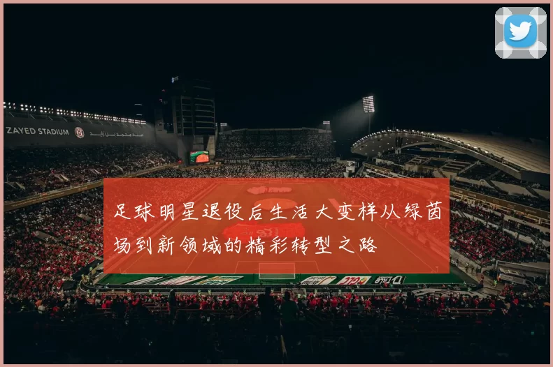足球明星退役后生活大变样从绿茵场到新领域的精彩转型之路