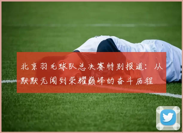 北京羽毛球队总决赛特别报道：从默默无闻到荣耀巅峰的奋斗历程