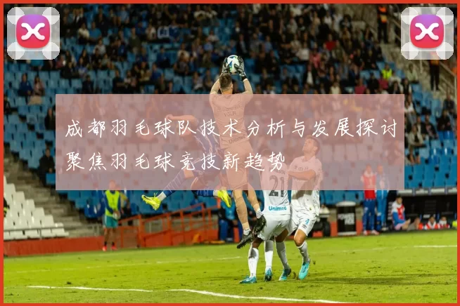 成都羽毛球队技术分析与发展探讨聚焦羽毛球竞技新趋势