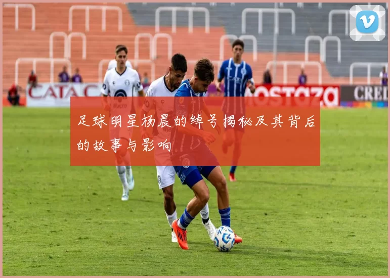 足球明星杨晨的绰号揭秘及其背后的故事与影响