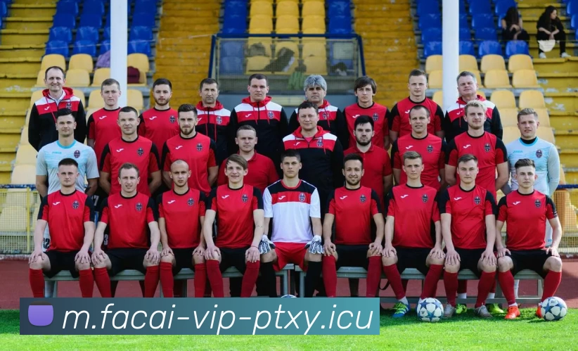 开云体育平台生态图